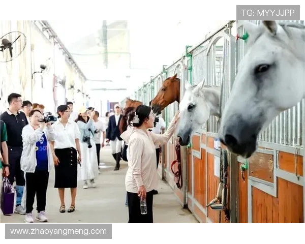 国际马联场地障碍世界杯中国联赛武汉站盛大开幕赛事精彩纷呈